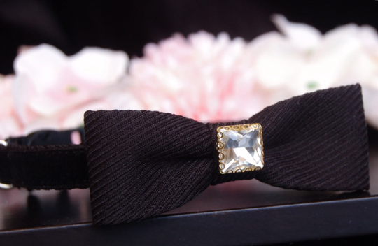 Boy Bow Tie Cat Collar.wedding Tiny Dog Collar, Breakaway Kitten Collar.pet Collar, Cat Birthday Gift.puppy Collar.tea Cup Collar.cat Gift