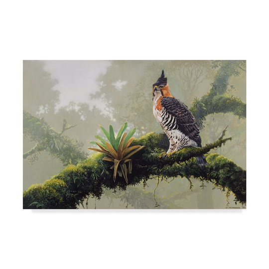 Harro Maass 'Ornate Hawk Eagle' Canvas Art - Multi-color