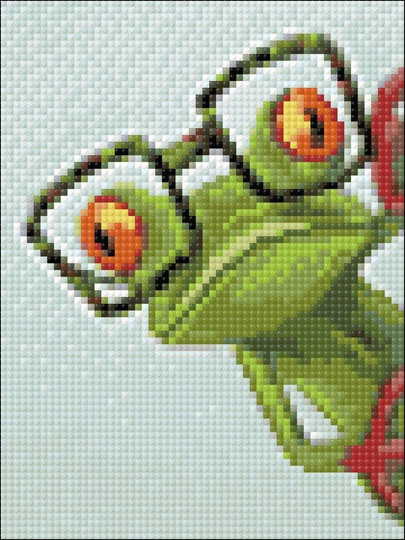 Frog Diamond Painting Set By Crafting Spark. Cs2362 Art Kit. Small Kit
