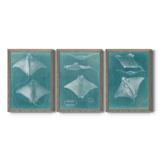 Morning Swim I-Premium Framed Canvas - Ready to Hang - Multi-Color