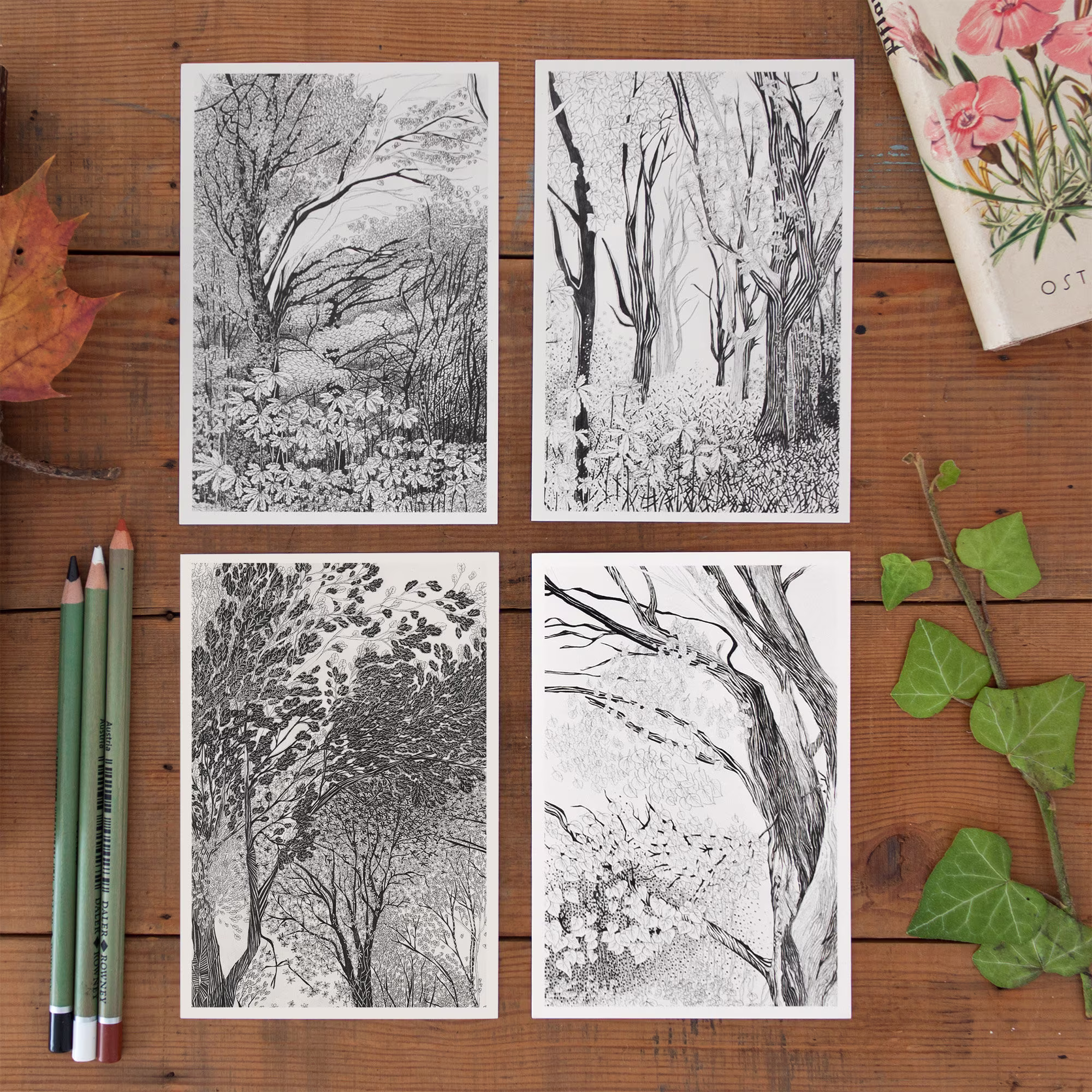 4 Postcard Set Trees, Woodland Decor, Fall Tree Picture, Postcrossing, Beautiful, Detailed Pencil Illustration Of Forest, Black & White, New
