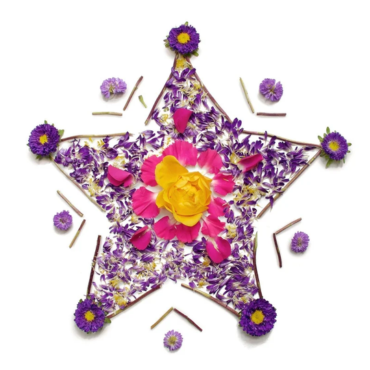 Blooming Star Wall Art Kit