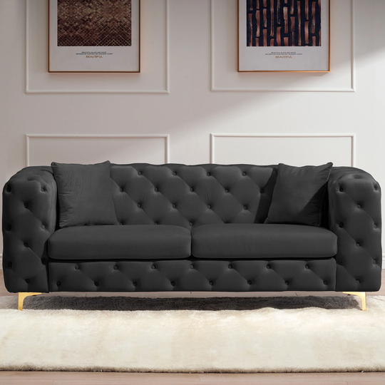 Contemporary Tufted Velvet Sofa Loveseat with Two Pillows
