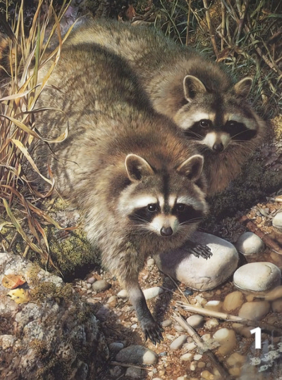 Silly Racoons Diy 5D Diamond Painting Kit Full Square Drill