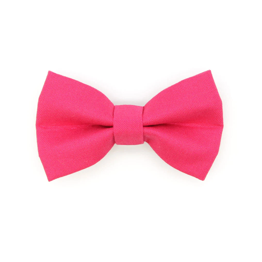Cat Bow Tie - "Color Collection Fuchsia Pink" Solid Color Pink/Wedding Pet Bowtie Elastic Loop + Small Dog Size
