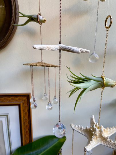 Starfish Suncatchers/Pencil, Knobby, Aztec With 1 Or 5 Sun Catcher Prism Beads Sea Star Air Plant Hanger Beachy Suncatcher