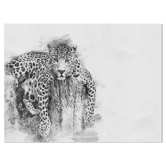 Designart 'Leopard in Black And White Pencil Sketch' Sketch Animals Print on Wrapped Canvas on Wrapped Canvas