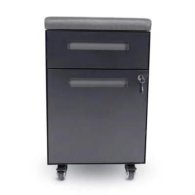 Jabriyah 19.7'' Wide 2 - Drawer Filing Storage Cabinet