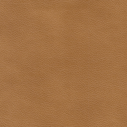 Janvin Genuine Leather Swivel/Glider Chair