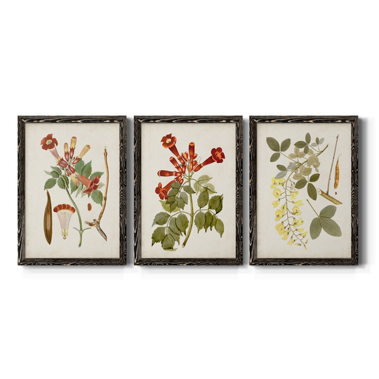 Vintage Flowering Trees V-Premium Framed Canvas - Ready to Hang - Multi-Color
