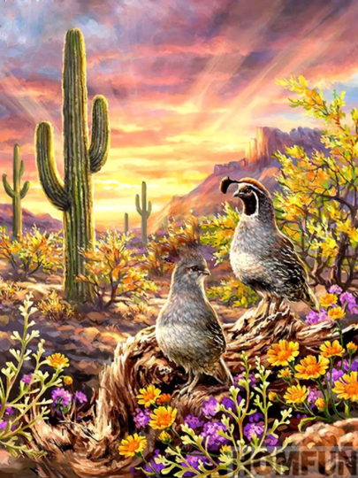 Desert Quail Diy 5D Diamond Painting Kit Full Square & Round Drill