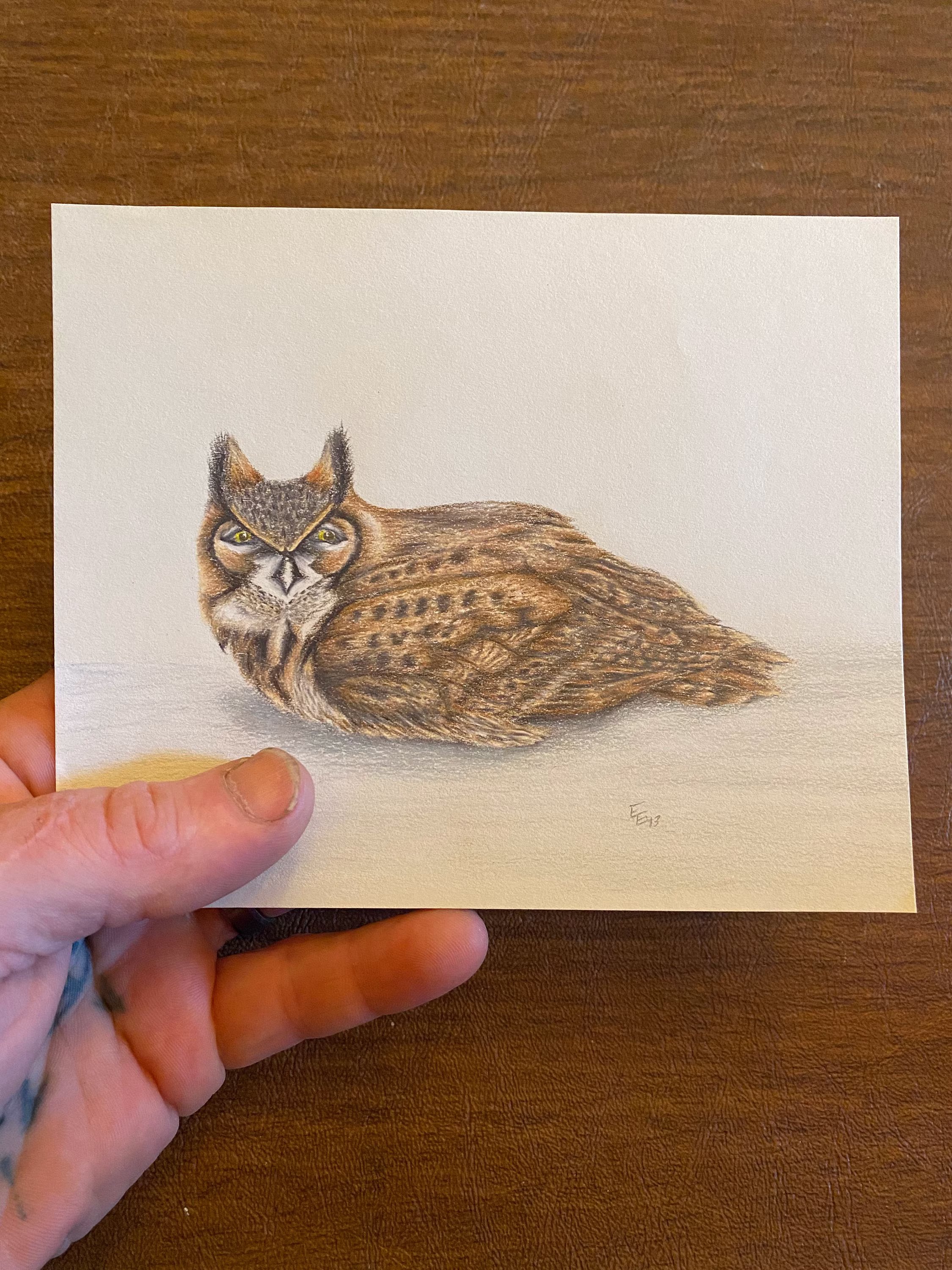 Owl Color Pencil Drawing