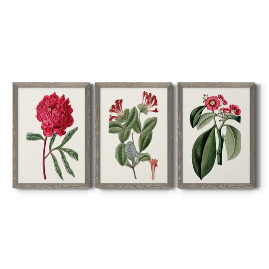 Roseate Blooms IV-Premium Framed Canvas - Ready to Hang - Multi-Color