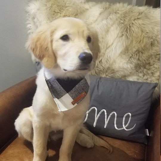 Dog Bandana, Black White Plaid Traditional Tie, Personalized Leather Name Tag Bandanna, Bandanas