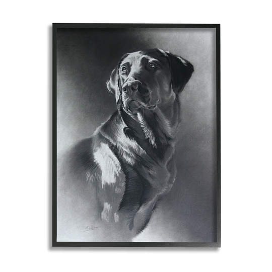 Stupell Industries Charcoal Pencil Labrador Dog Portrait Vintage Pet Framed Wall Art - Black