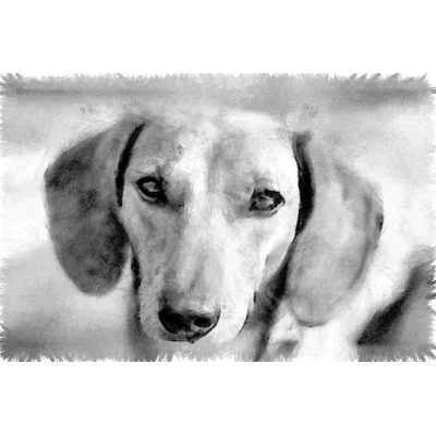 Pencil Daschund - Wrapped Canvas Painting