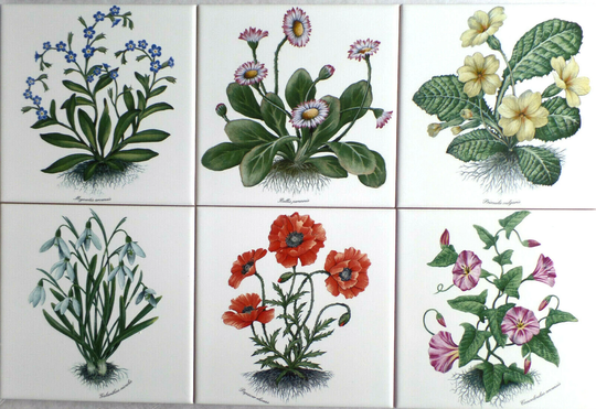 Botanical Flower Ceramic Tile Set Of 6/6x6"" Poppies Morning Glories Kiln Fired Decor Devonshire