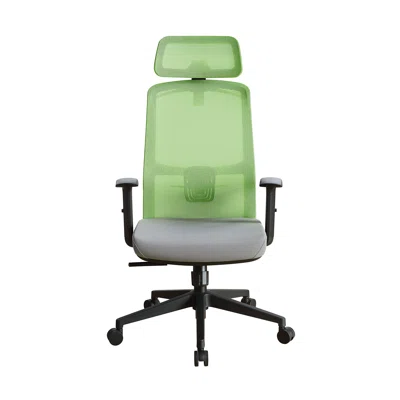 Carminia Office Chair
