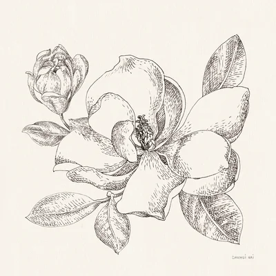 Flower Sketches II