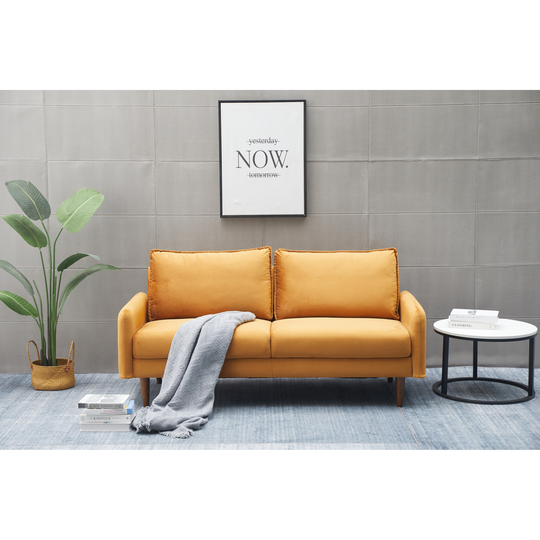 Hambrok Velvet Living Room Sofa