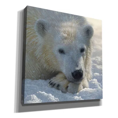 Millwood Pines 'Polar Bear Cub' By Collin Bogle, Canvas Wall Art