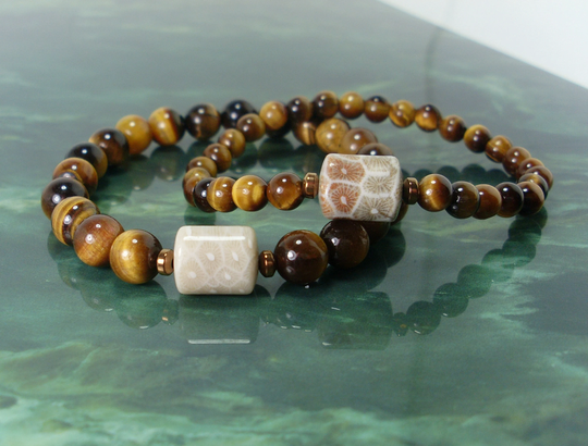 Petoskey Stone & Tiger Eye Bracelet 6mm Or 8mm, Natural Gemstones Beaded Bracelet, Fossil Coral For Wome Men + Gift Bag