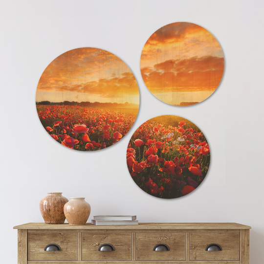 Designart 'Beautiful Poppy Field at Sunset' Abstract Wood Wall Art Set of 3 Circles - Multi-Color