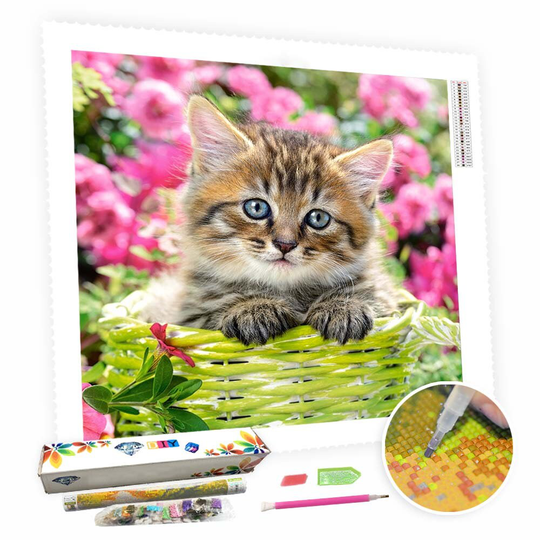 5D Diy Square Round Diamond Painting Kit Full Drill-Kitten in The Flowers-Diy By Number Rhinestone Pasted For Home Wall Decor