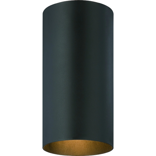 Volume Lighting 1-Light Black Outdoor Cylinder Flush Mount