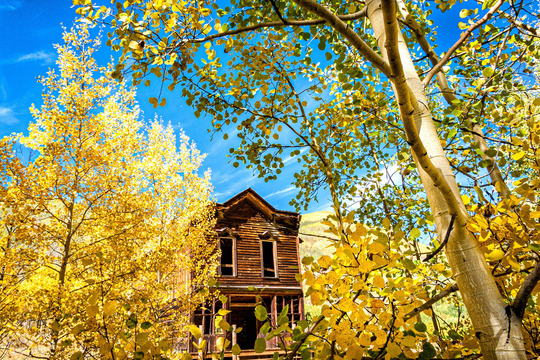 Ashcroft Ghost Town, Autumn Color, Fall Color Aspens, Aspen Colorado, Living Room Art, Castle Creek, Sargent Preston, View Hotel
