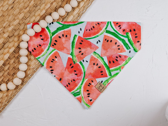 Watermelon Punch Pet Bandana | Dog Summer Bandanas Fruit Accessories Spring Cat