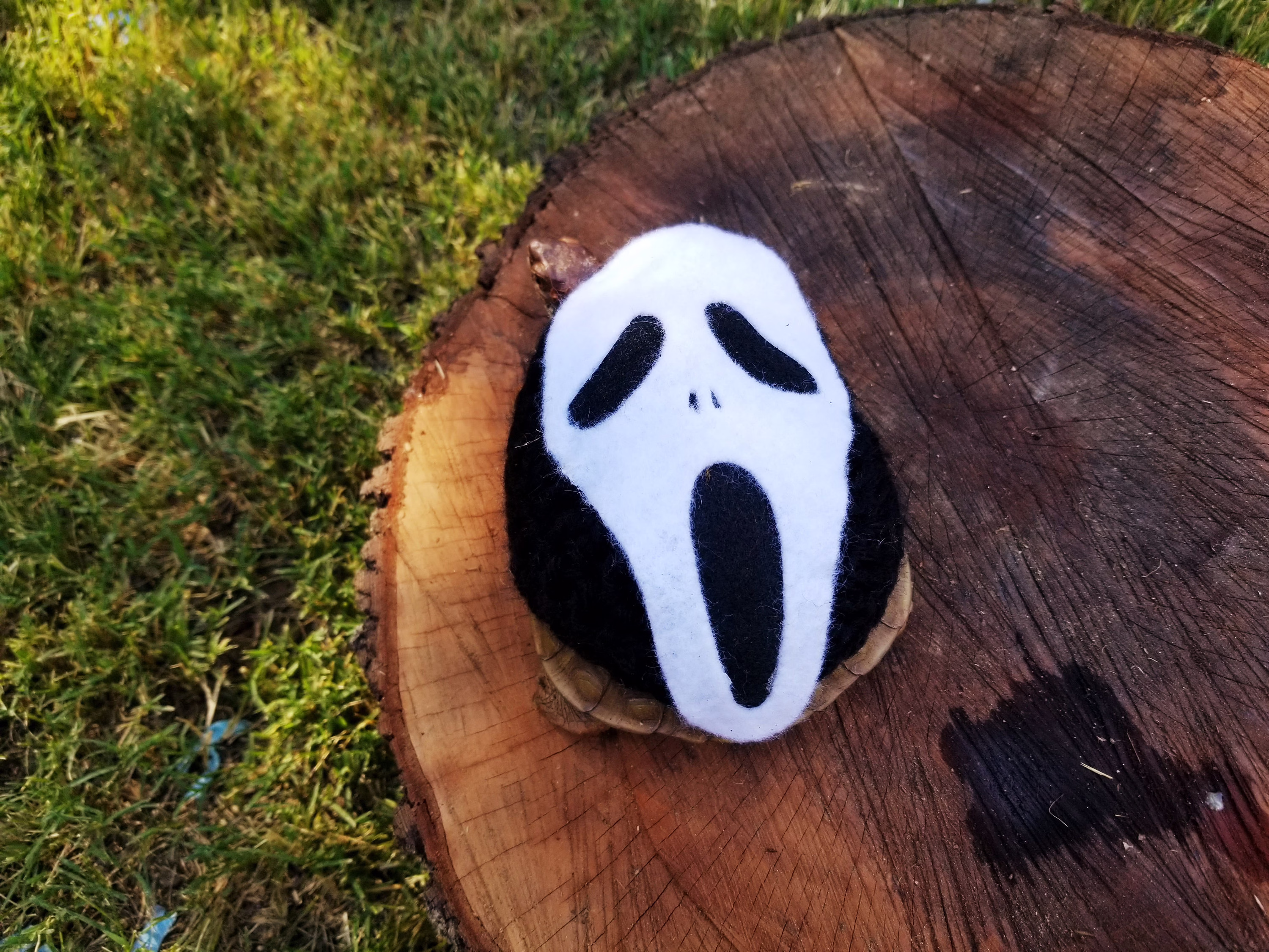 Scary Scream Inspired Costume For Turtle/Tortoises