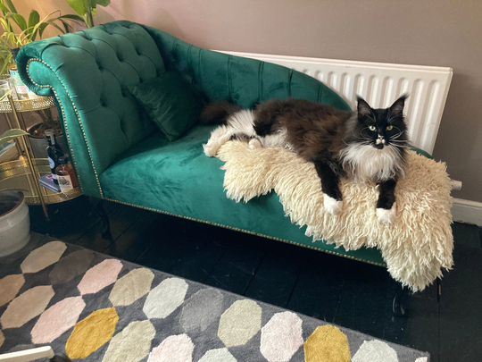 Chaise Longue Sofa Stylish Moder Custom Made