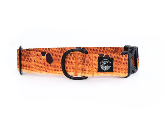 Redfish Dog Collar | Fishing Pet Nautical Stainless Steel Black Metal Girl Boy Summer Martingale