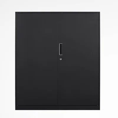 Metal Stoorage Cabinet With 2 Layers Adjustable Shelves