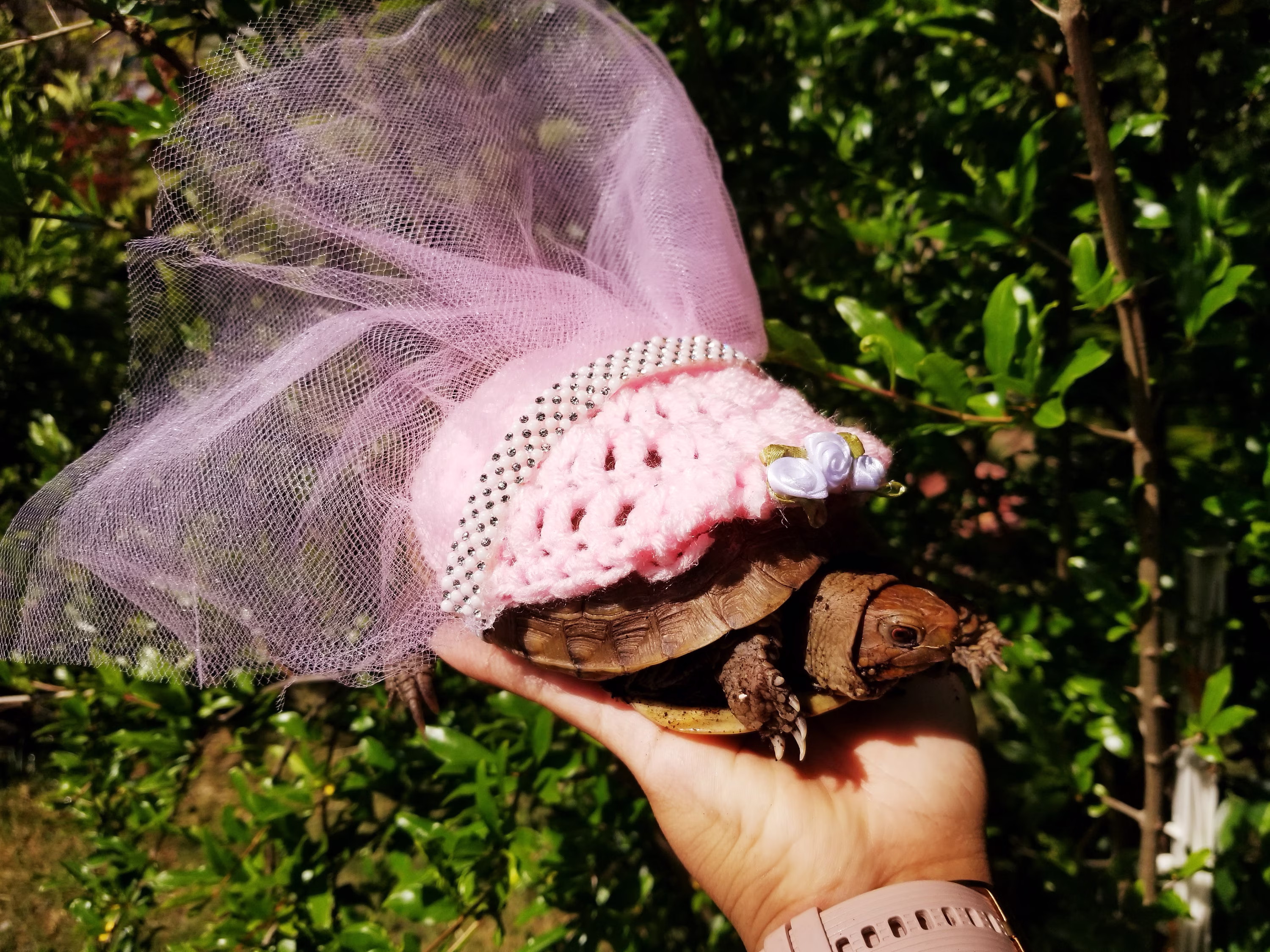 Bridesmaid Dress Crochet Costume For Turtles/ Tortoises