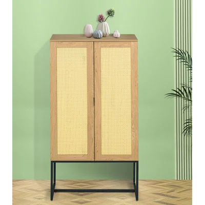 Belteau 31.51'' Wide 2 - Shelf Storage Cabinet