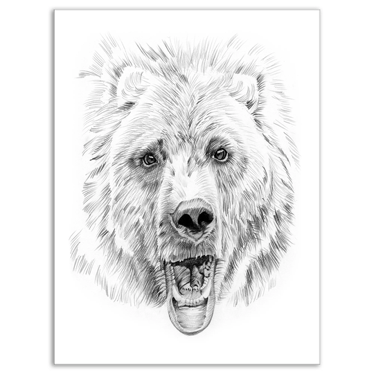 Designart 'Pencil Bear Sketch in Black and White' Animals Print on Wrapped Canvas - White
