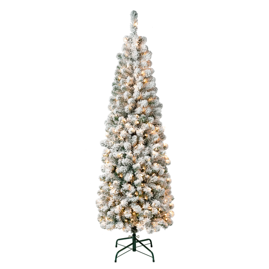 First Traditionsâ„¢ 6 ft. Acacia Pencil Slim Flocked Tree with Clear Lights - 6 ft