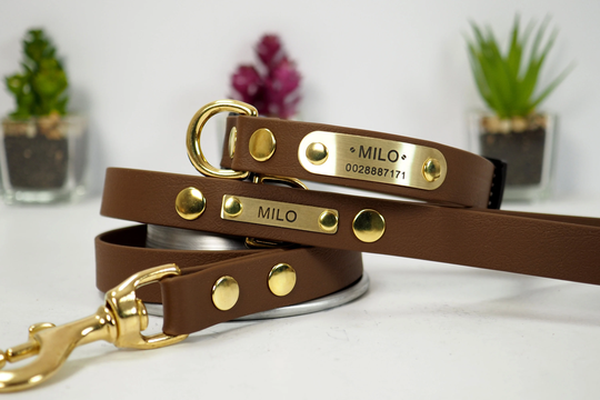 Dog Collar & Leash Set, Vegan Leather Collar, Waterproof Leash, Personalized