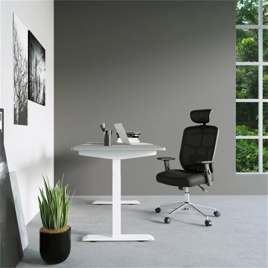 High Back Executive Mesh Office Chair with Arms, Lumbar Support