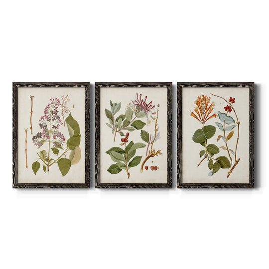 Vintage Flowering Trees II-Premium Framed Canvas - Ready to Hang - Multi-Color