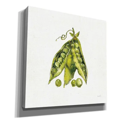 Veggie Market IV Peas by Anne Tavoletti - Wrapped Canvas Painting Print