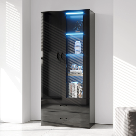 Double-Door Wood Storage Cabinet with 2 Drawers