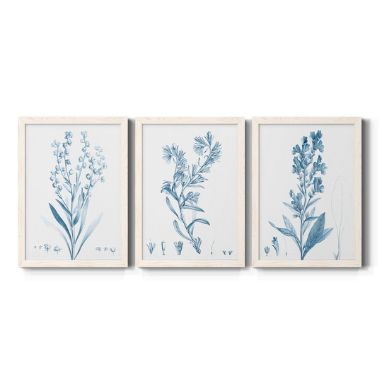 Antique Botanical in Blue I-Premium Framed Canvas - Ready to Hang - Multi-Color