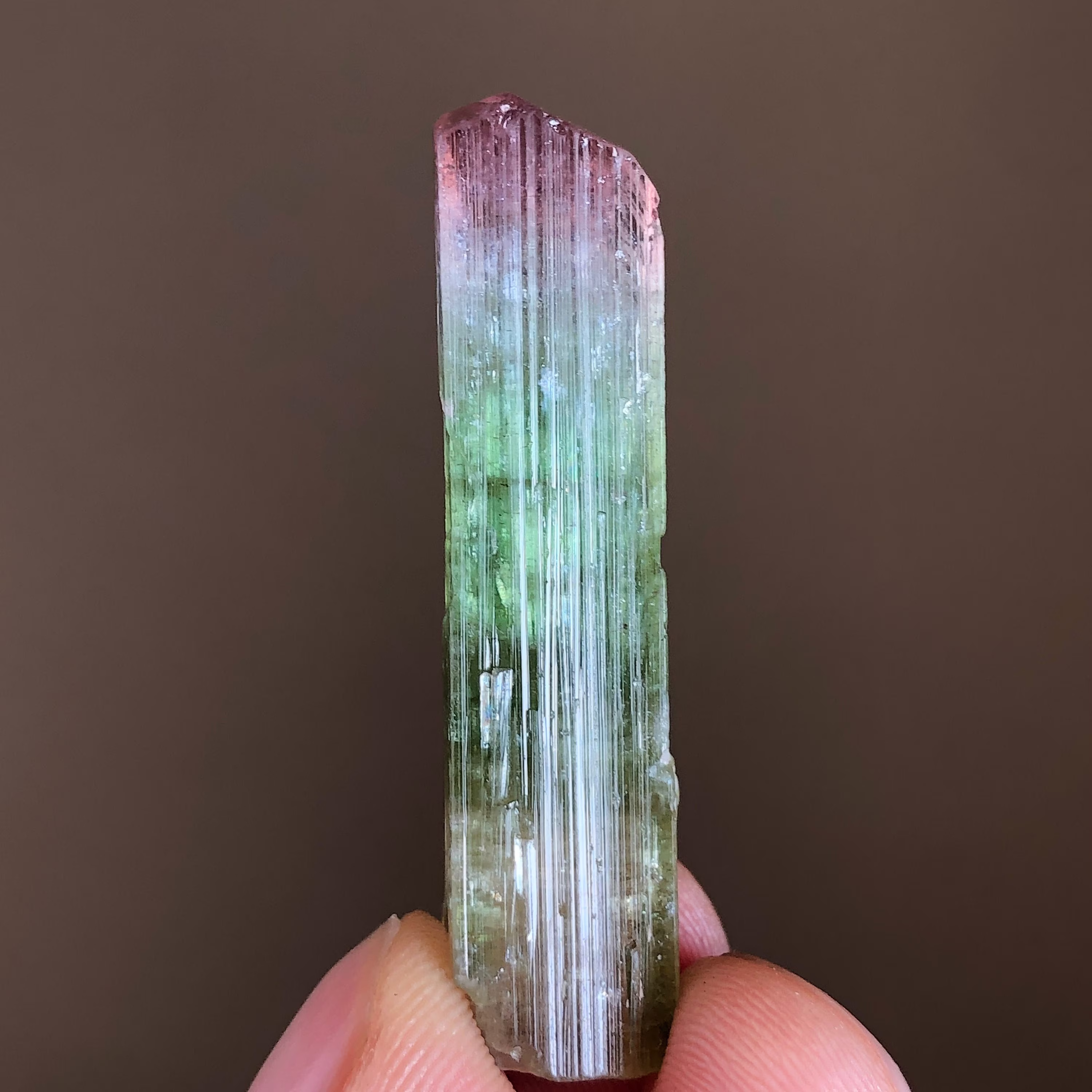 Watermelon Tourmaline | Elbaite Bi-Color Paprok // Afghanistan