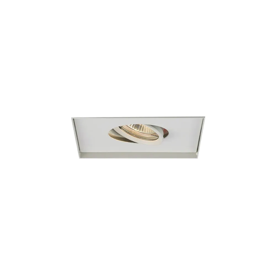 WAC Lighting 6" Multiple Spot Recessed Light Invisible Adjustable Trim