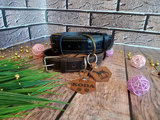 Personalized Leather Dog Collar, Custom Engraved Puppy Dog Collar With Personalization