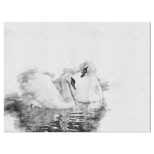 Designart 'Black and White Swan Pencil Sketch' Animals Print on Wrapped Canvas