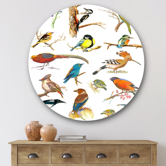 Designart 'Vibrant Colored Birds Plancard' Traditional Metal Circle Wall Art
